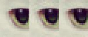Zum Vergleich von links nach rechts, 20 x 24 Pixel: Unkomprimiert,, libjpeg, Guetzli