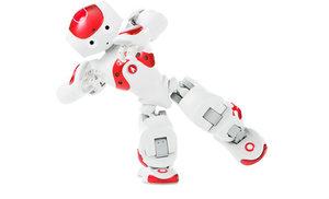 Zora - Humanoider Roboter