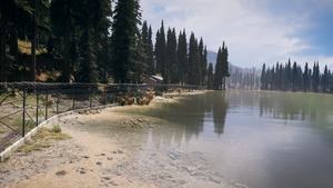 Far Cry 5 im Benchmark-Test