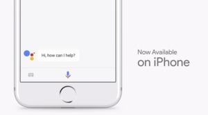 Der Google Assistant erscheint auch für das iPhone