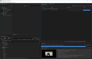 Adobe Premiere Pro Hardwarebeschleunigung