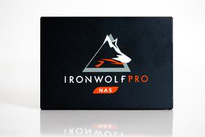 Seagate IronWolf Pro 125