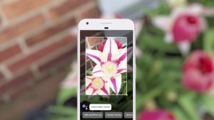 Google Lens soll von der Kamera erfasste Objekte automatisch erkennen und passende Zusatzinformationen anzeigen