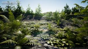 Wald Texturen und 3D-Modelle von MAWI United