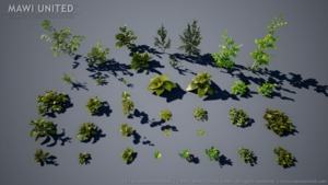 Wald Texturen und 3D-Modelle von MAWI United