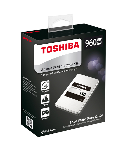 Q300 960GB