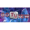 gotview-logo